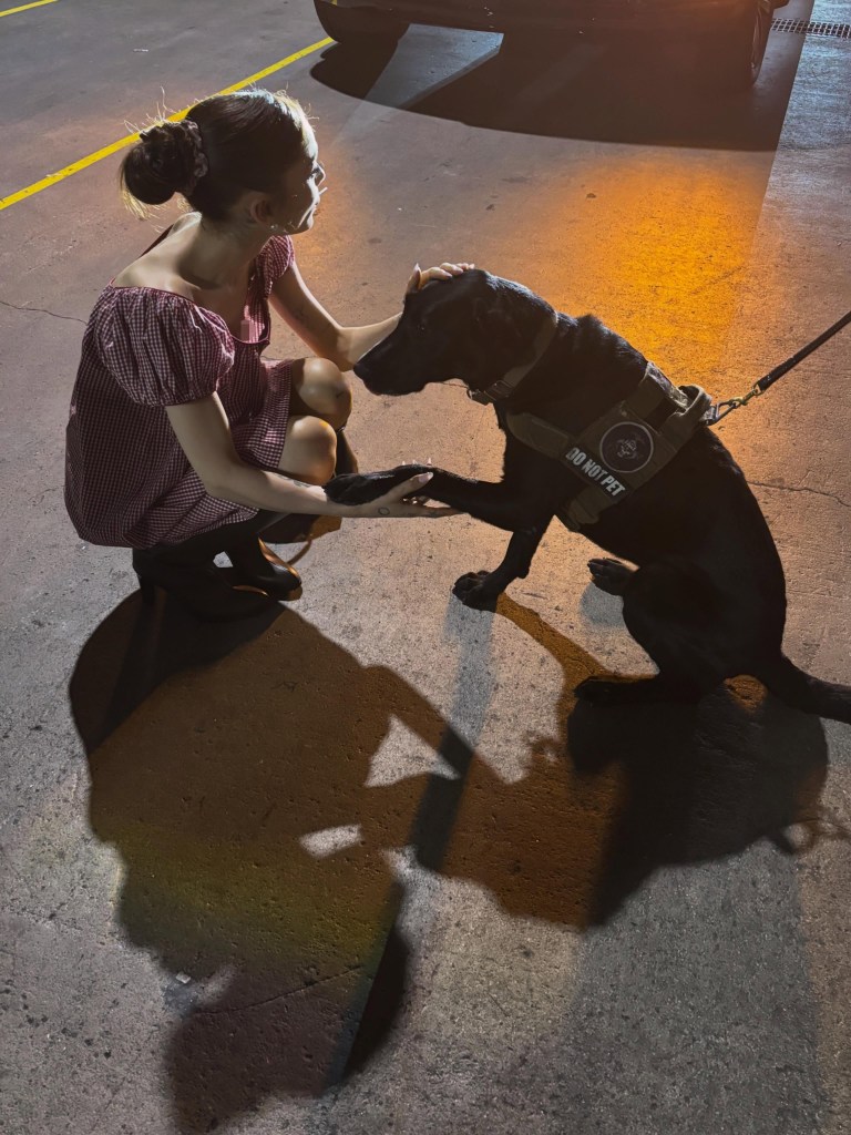 Ariana Grande squatting, holding the paw and petting the head of a black service dog that is wearing a "DO NOT PET" vest.
