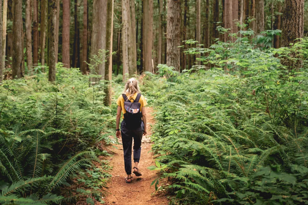 Young woman hiking among ferns in Berthusen Park.