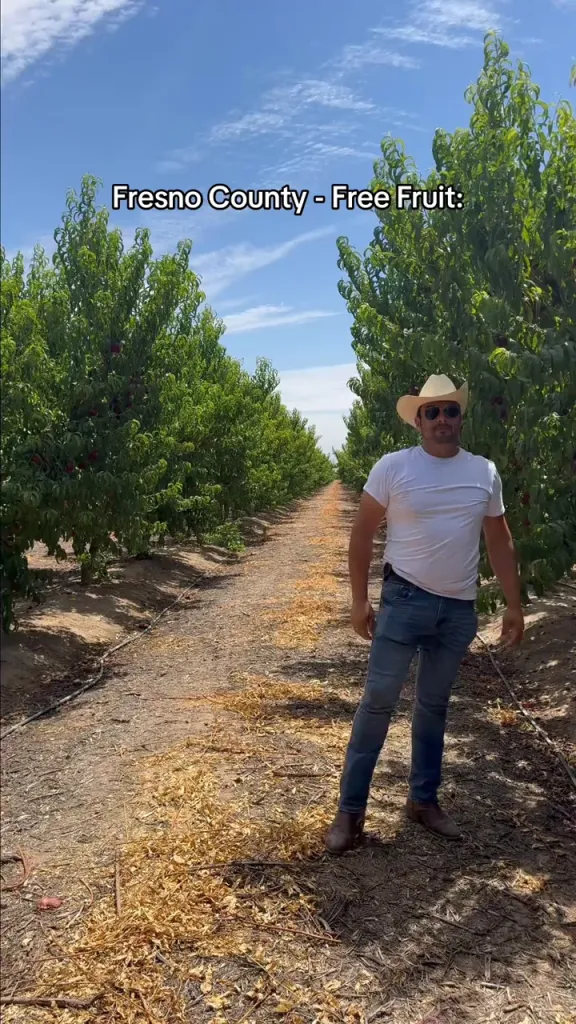 Farmer Cesar Mora in a white t-shirt, jeans, and a cowboy hat, standing between rows of nectarine trees, giving away over 125,000 pounds of nectarines.