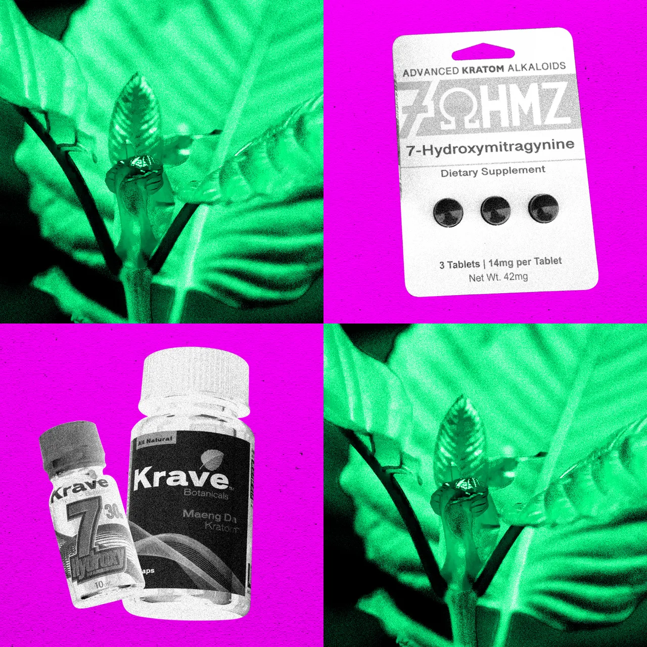 The DEA Plans to Ban Opioid-Like Kratom Compound 7-OH