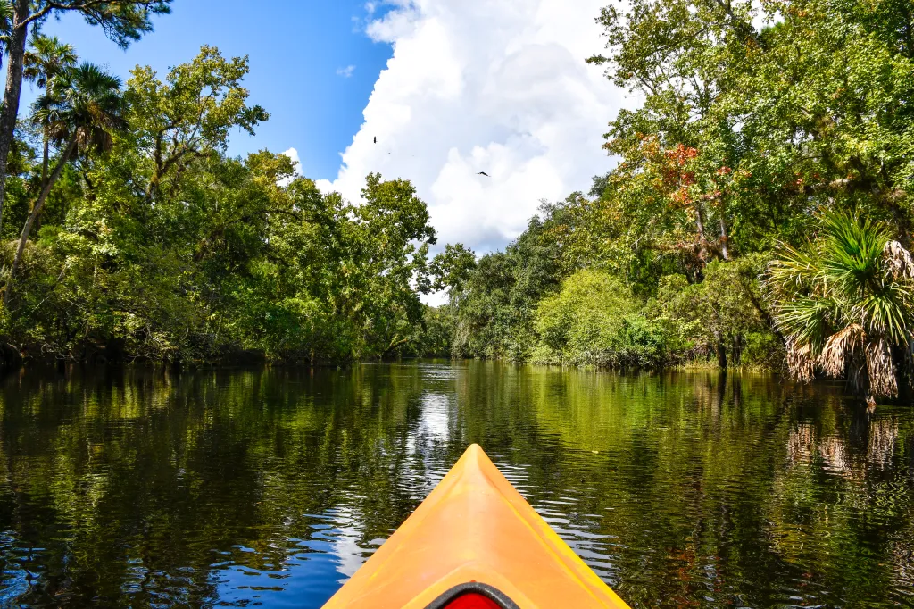 Kayaking on the Econlockhatchee River in Little Big Econ State Park in Florida.