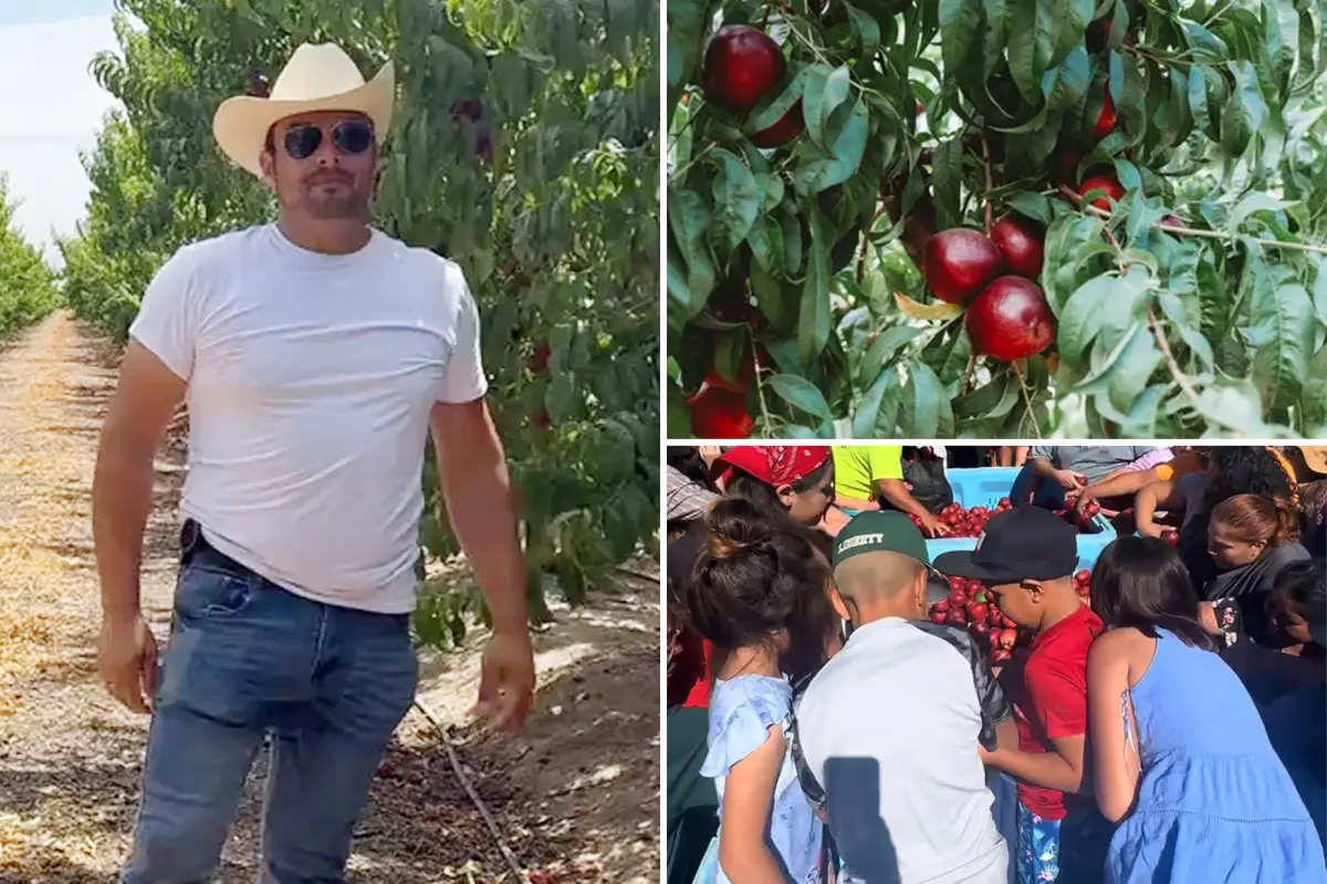 Embattled California fruit farmer gives away more than 125,000 pounds of nectarines