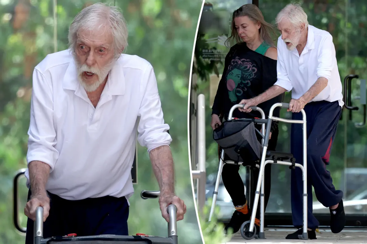 Dick Van Dyke, 100, uses walker during rare outing with wife Arlene, 54