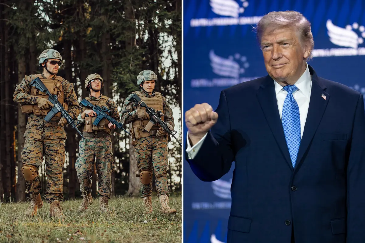 The US military under President Trump is winning the war — in the bedroom,  Pentagon data reveals