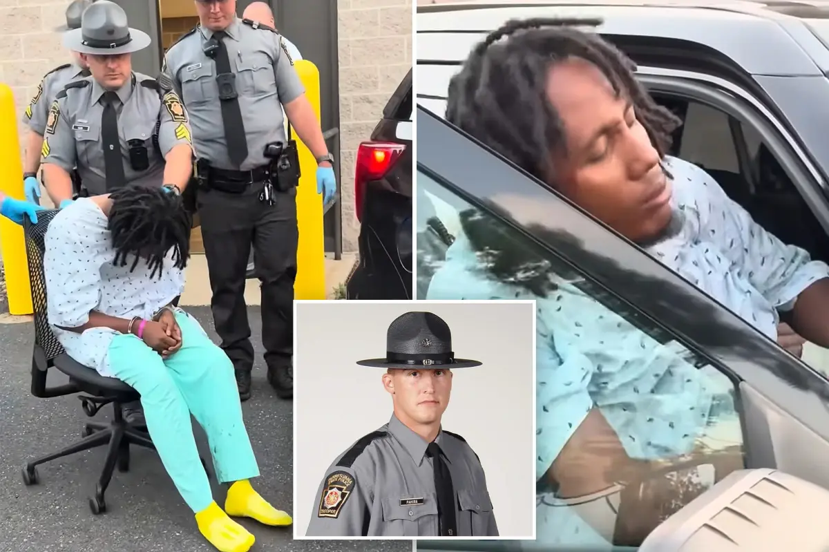 Pennsylvania state trooper Michael Pahira killed by Haitian illegal immigrant truck driver in crash: report