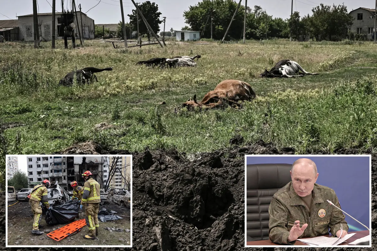 Russia accused of dumping anthrax-infected cattle carcasses in Ukraine: ‘ Biological terrorism’