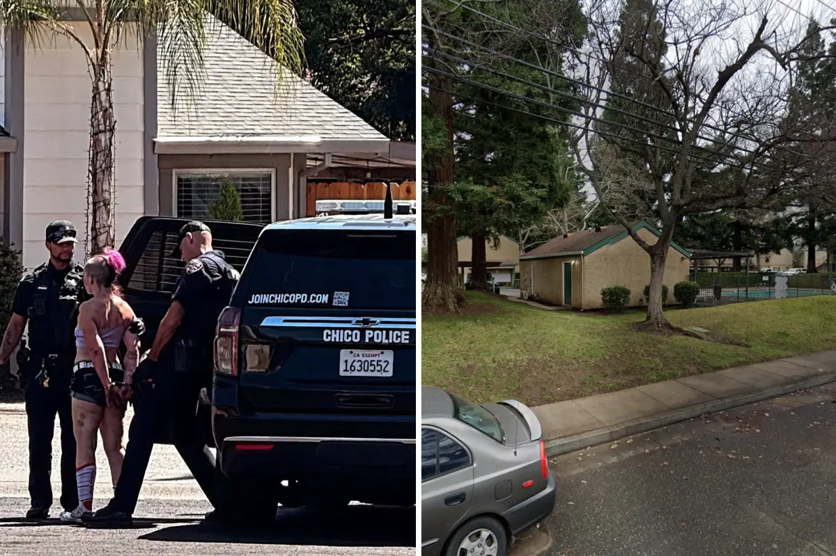 Burglar suspect seen in bizarre arrest picture — after making hilariously dumb escape error