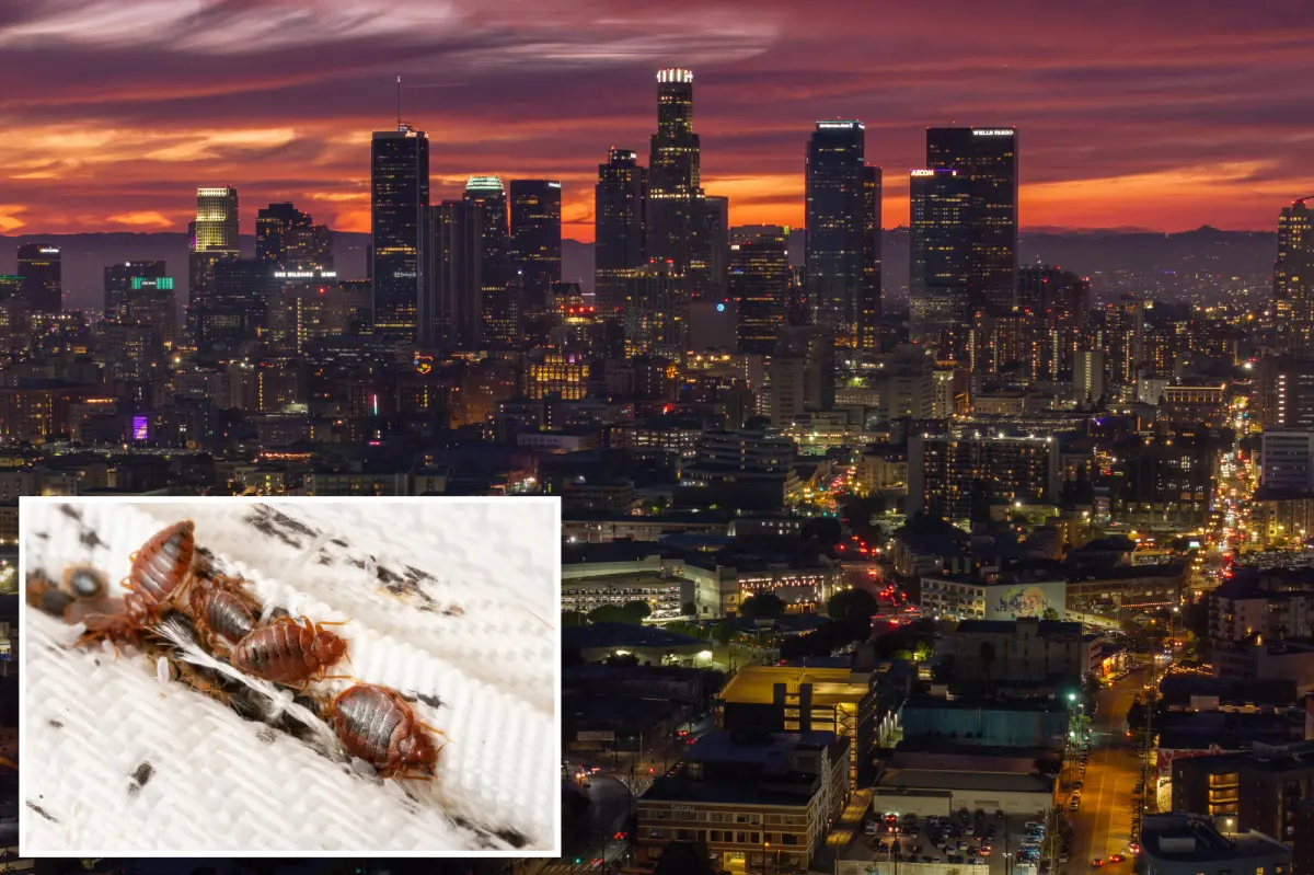 Los Angeles named the second-worst city for bed bugs in the US