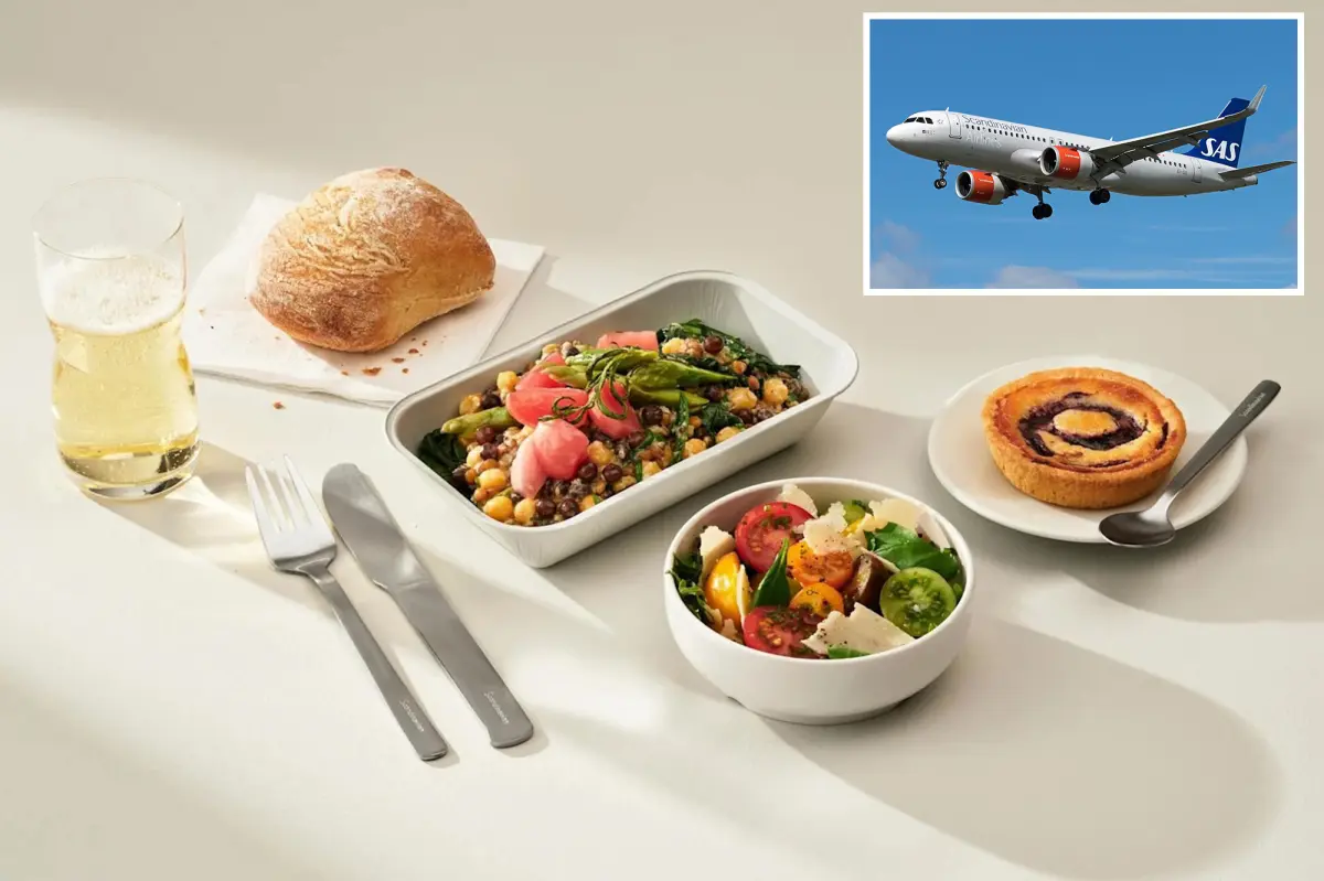 US judge slaps down litigious California man who sued airline for running out of chicken entrees