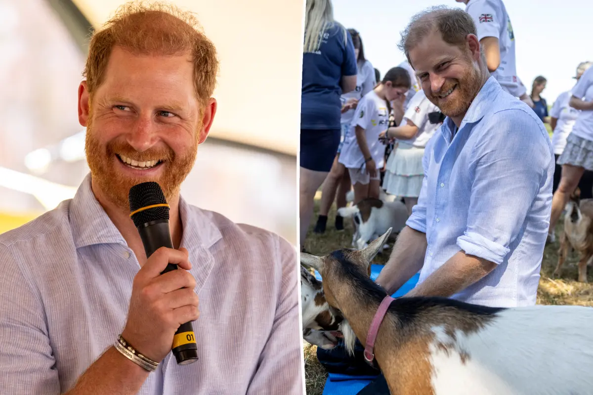 Prince Harry reveals his multiple occupations in candid new interview
