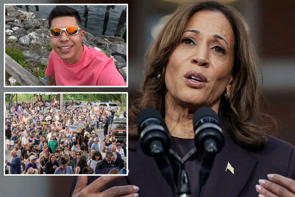 Kamala Harris slams ICE agents for fatally shooting ‘illegal alien’ who allegedly tried to run them over