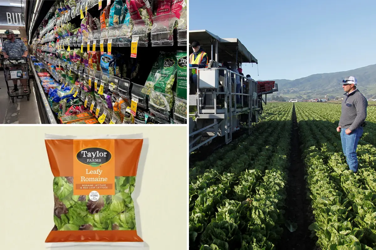Taylor Farms releases full recall list after ‘explosive diarrhea’ cyclosporiasis outbreak