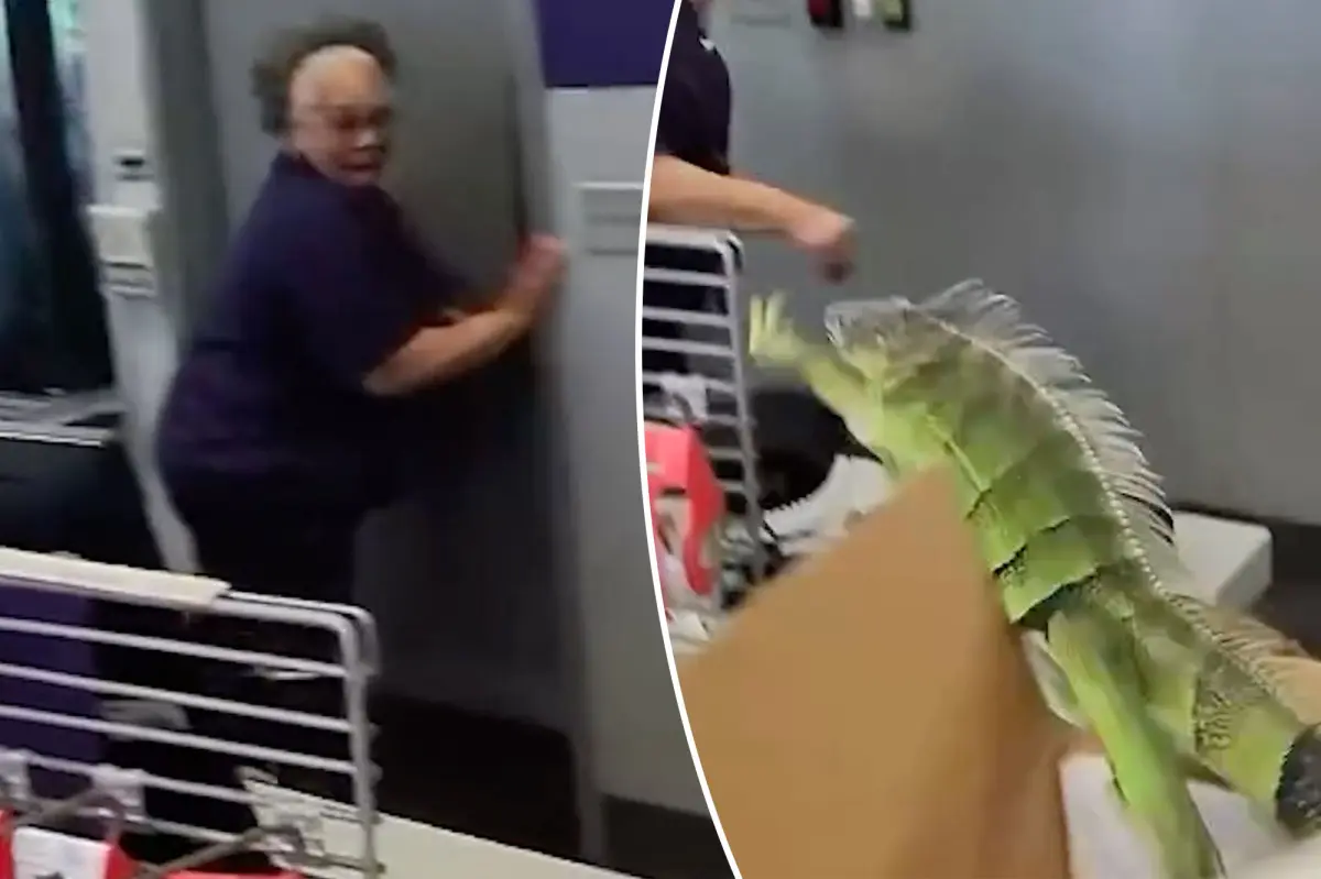 Iguana leaps out of box at FedEx store — sending store associates running in hilarious video