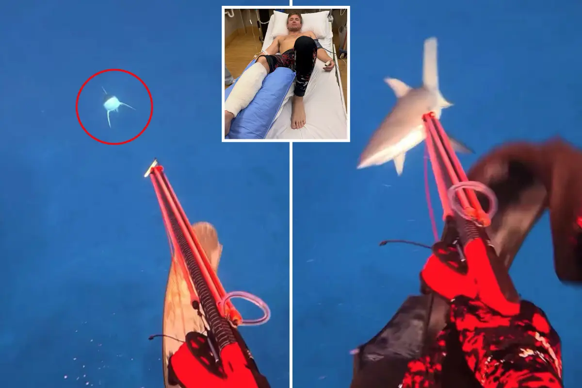 Influencer films shark almost biting off his leg —then shares amazing message about it