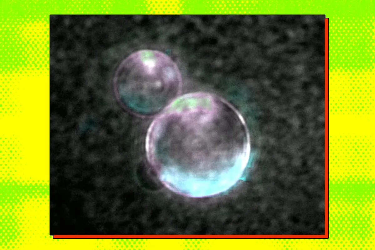 Scientists Build Fully Synthetic Life Form That Can Eat and Reproduce