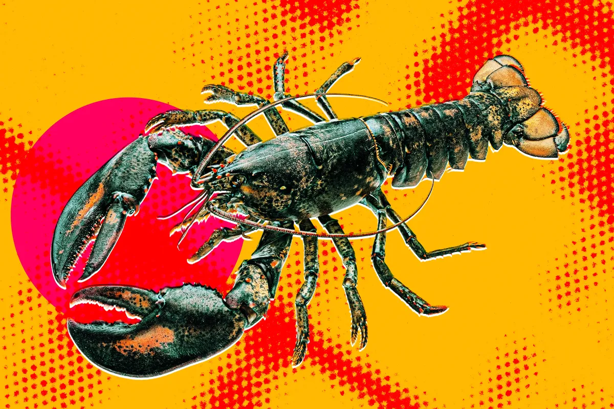 Biohackers Attempted Neurosurgery to Control a Lobster’s Nervous System and Give the Controls to OpenClaw, and How It Ended Will Tell You a Lot About the Ethics and Competence of AI Bros These Days