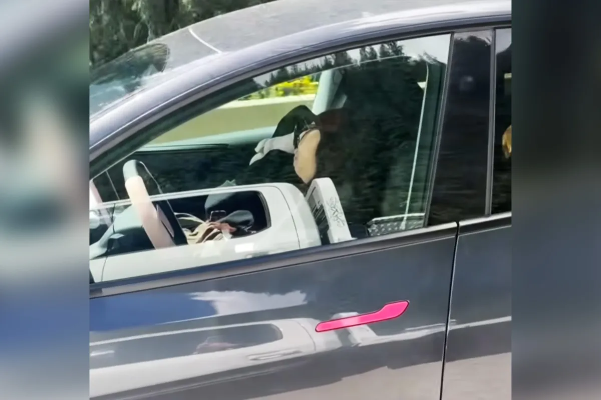 Tesla’s Safety Camera Lets Woman Cruising at Highway Speed While Completely Passed Out
