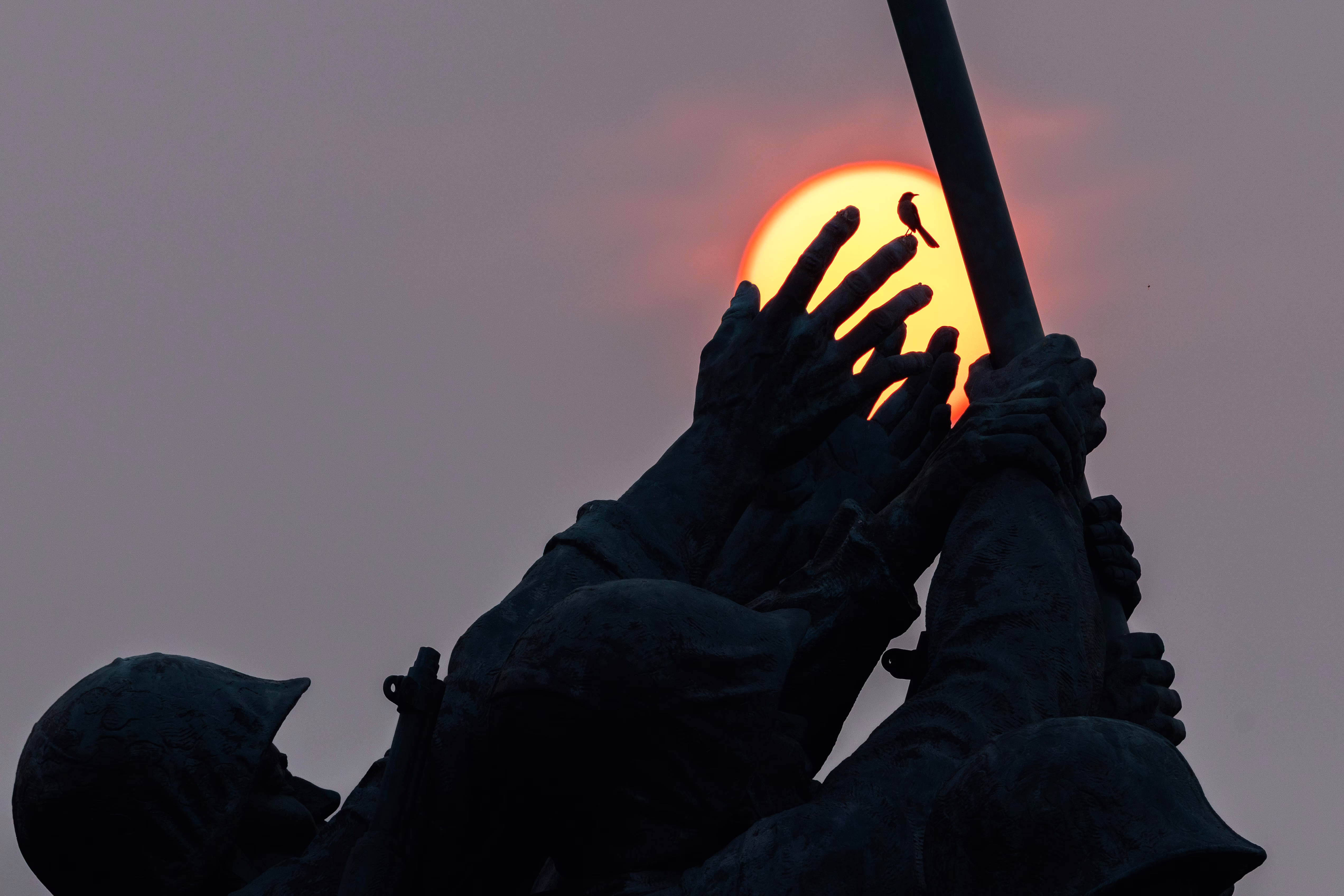 A small bird rests on the fingers of a war memorial statue, seen silhouetted against an orange sun.