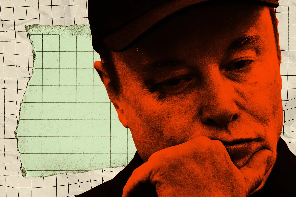 Tesla Stock in Freefall After Disastrous Earnings Report