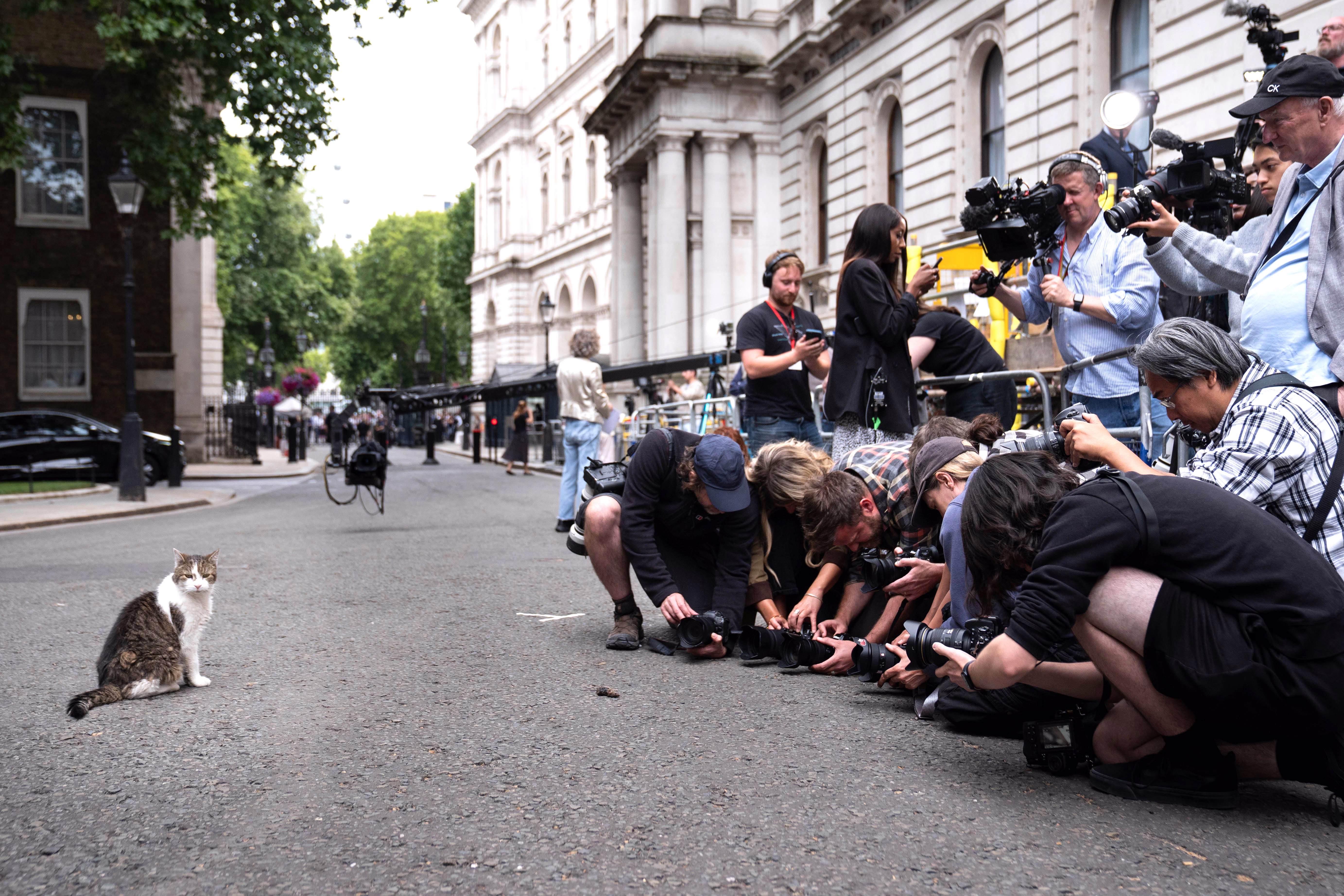 Members of the press photograph a dead mouse caught by Larry the cat, who sits nearby.