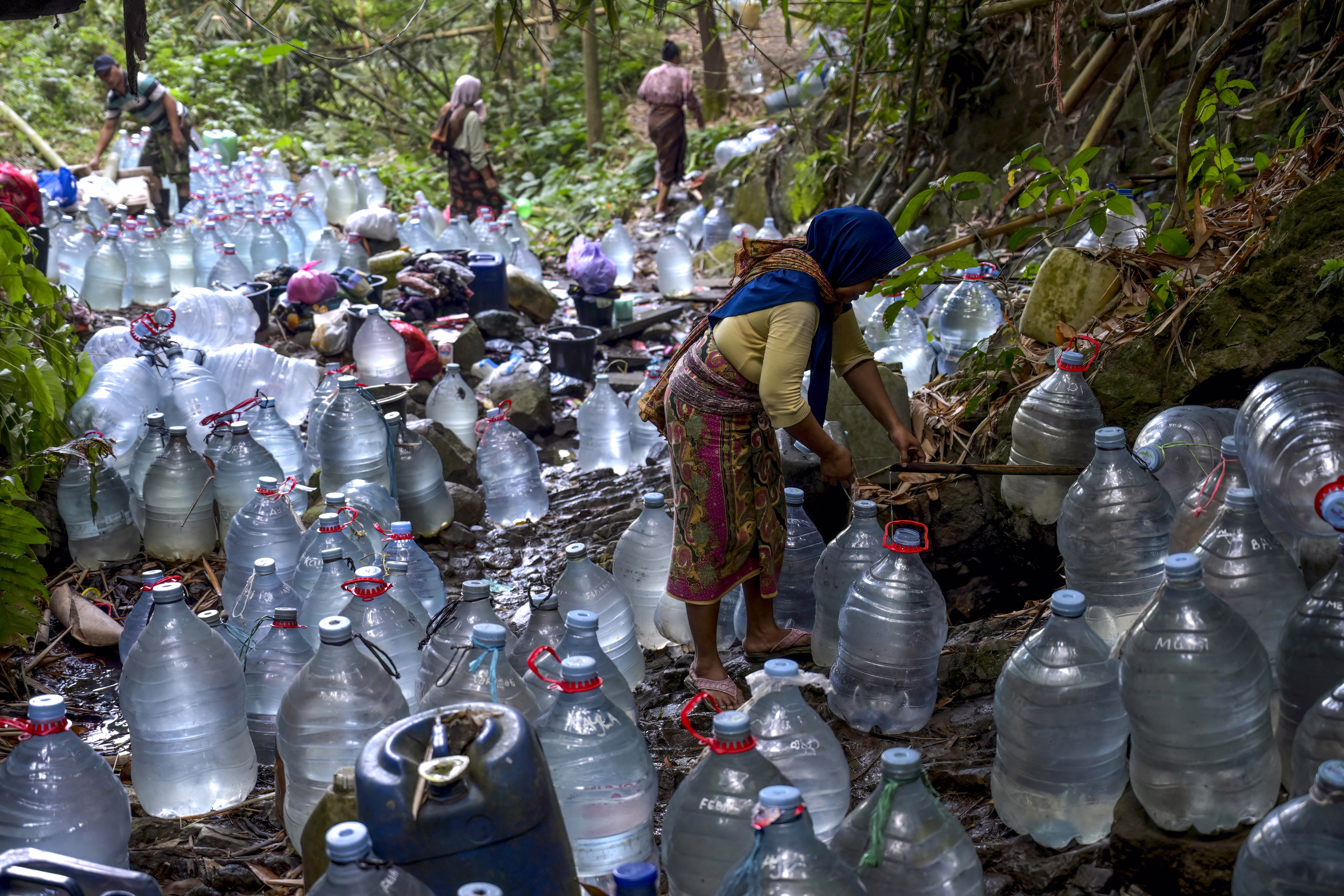 A person uses a small pipe coming from a spring to fill one of dozens of large bottles set up in a narrow stream bed.