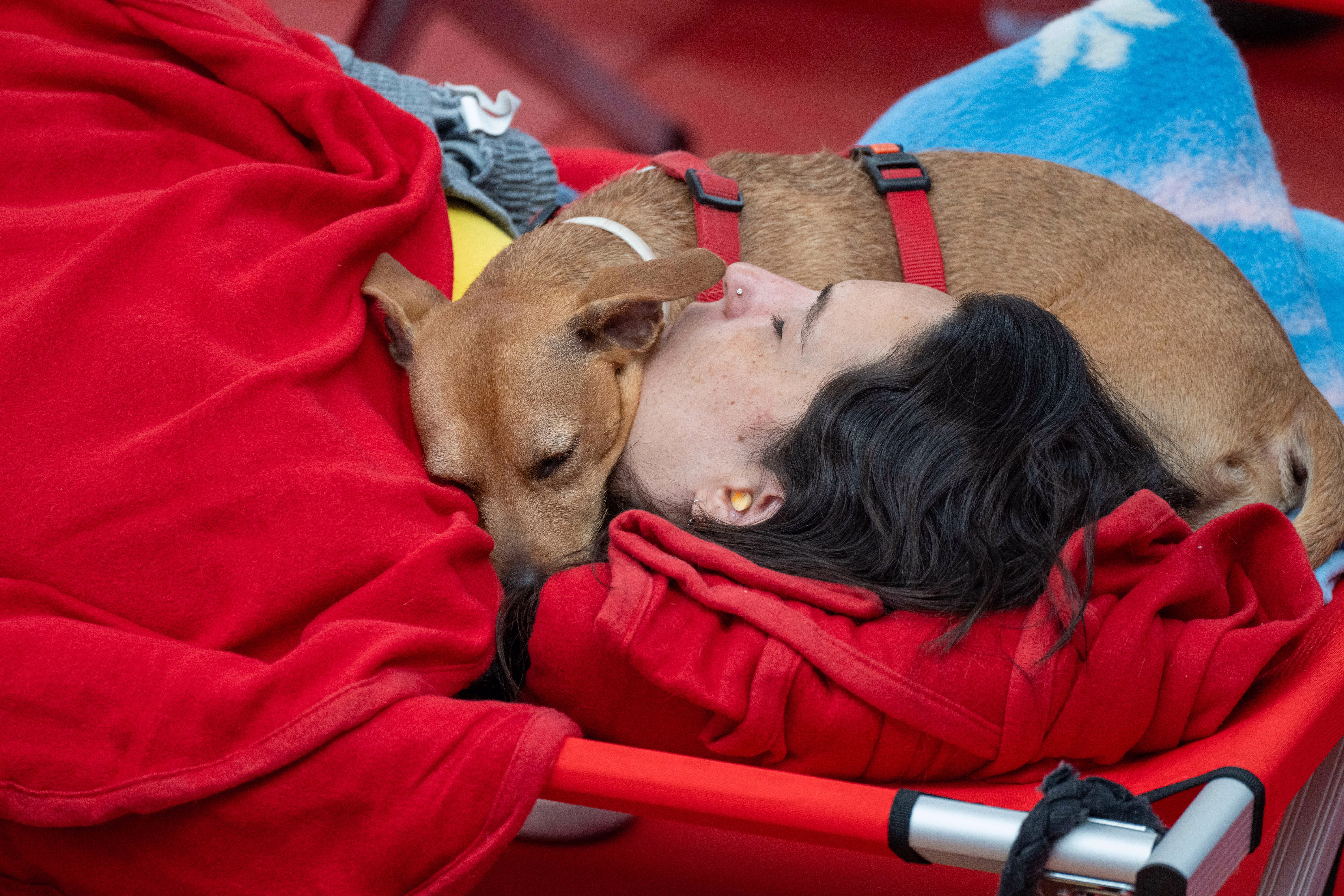 A person sleeps on a cot, with a small dog curled up beside their head, resting on their chin.