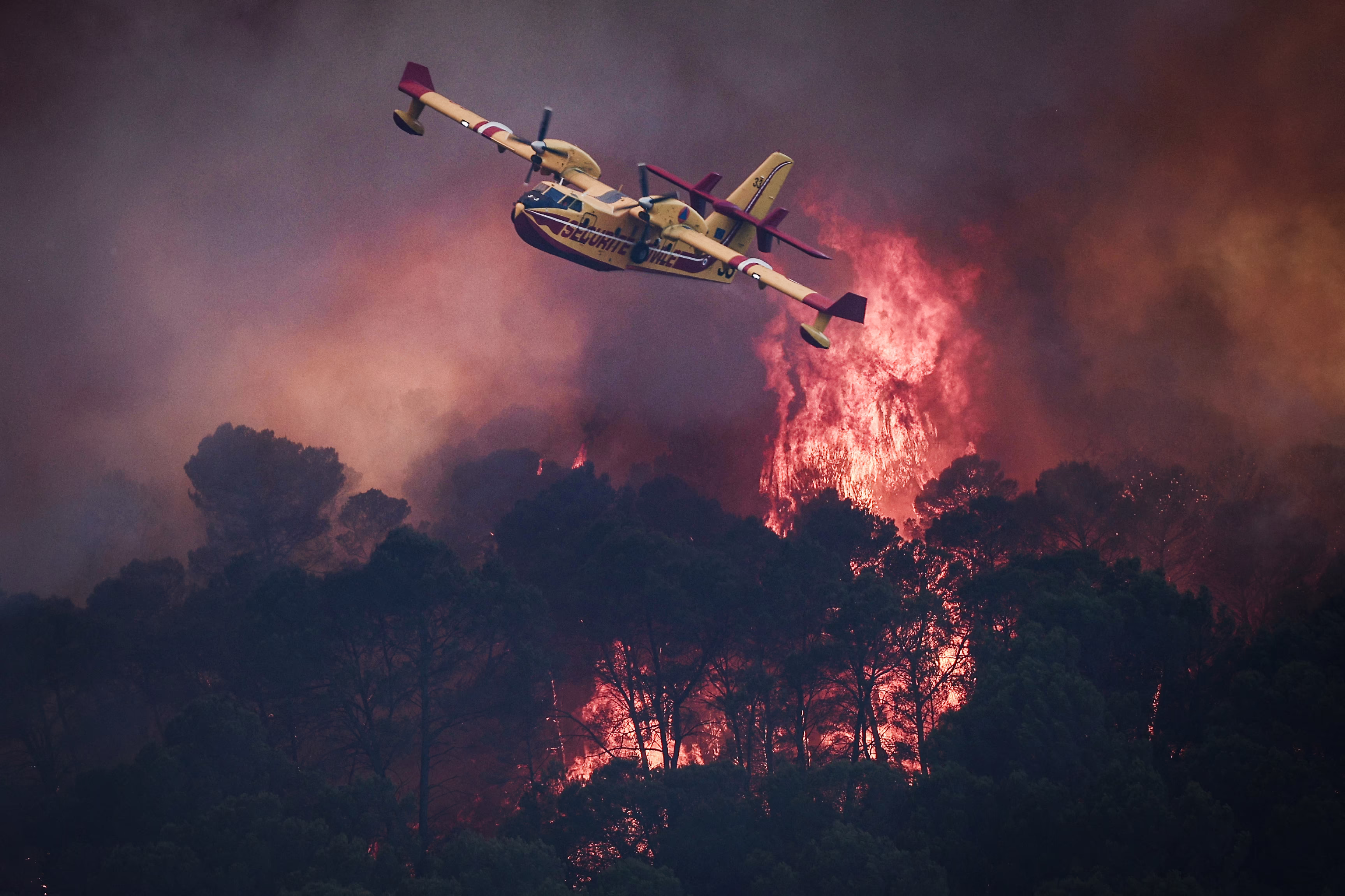 A firefighting aircraft flies above a wildfire in a forest.