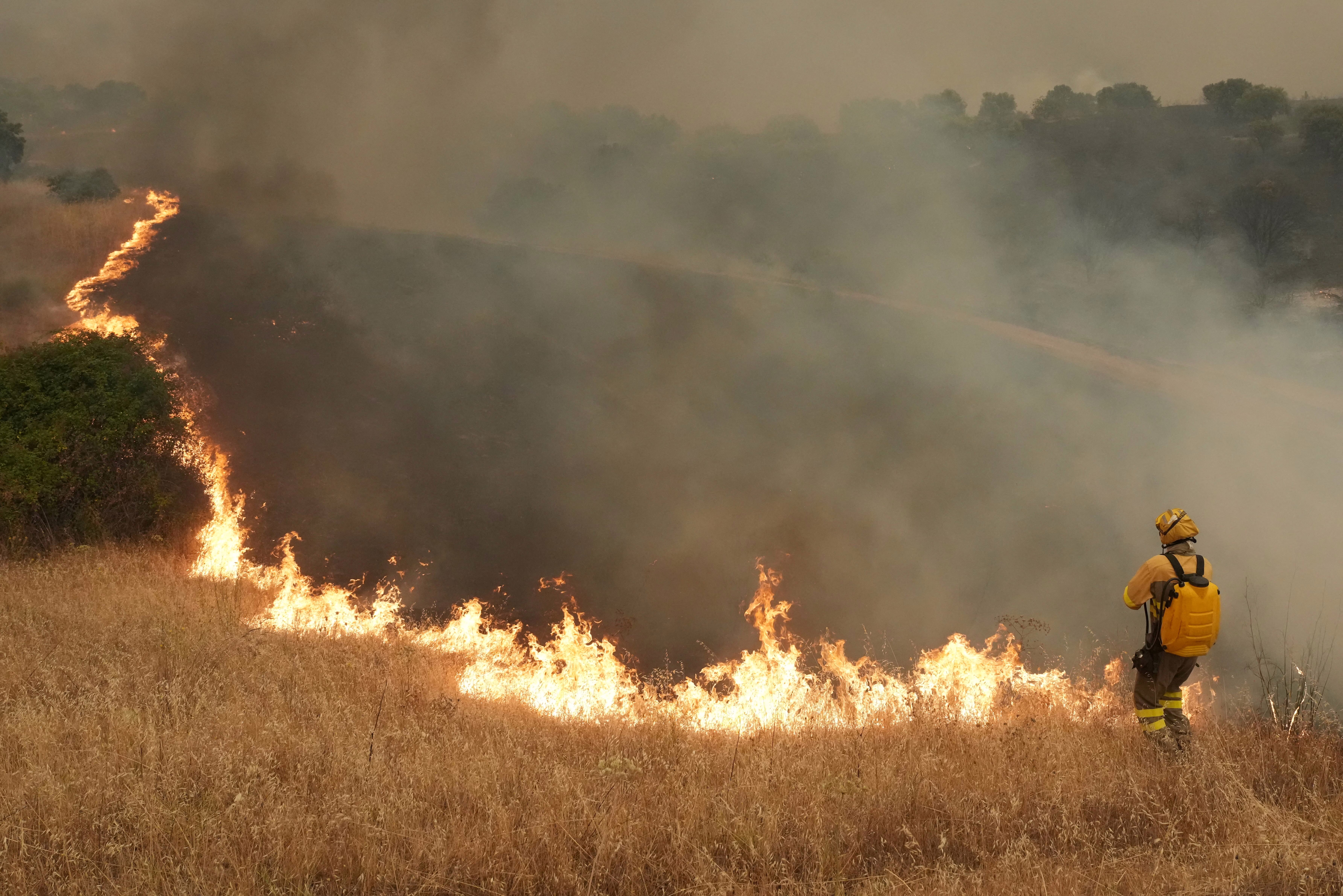 A firefighter works in a farm field, in front of a long line of fire across the field.