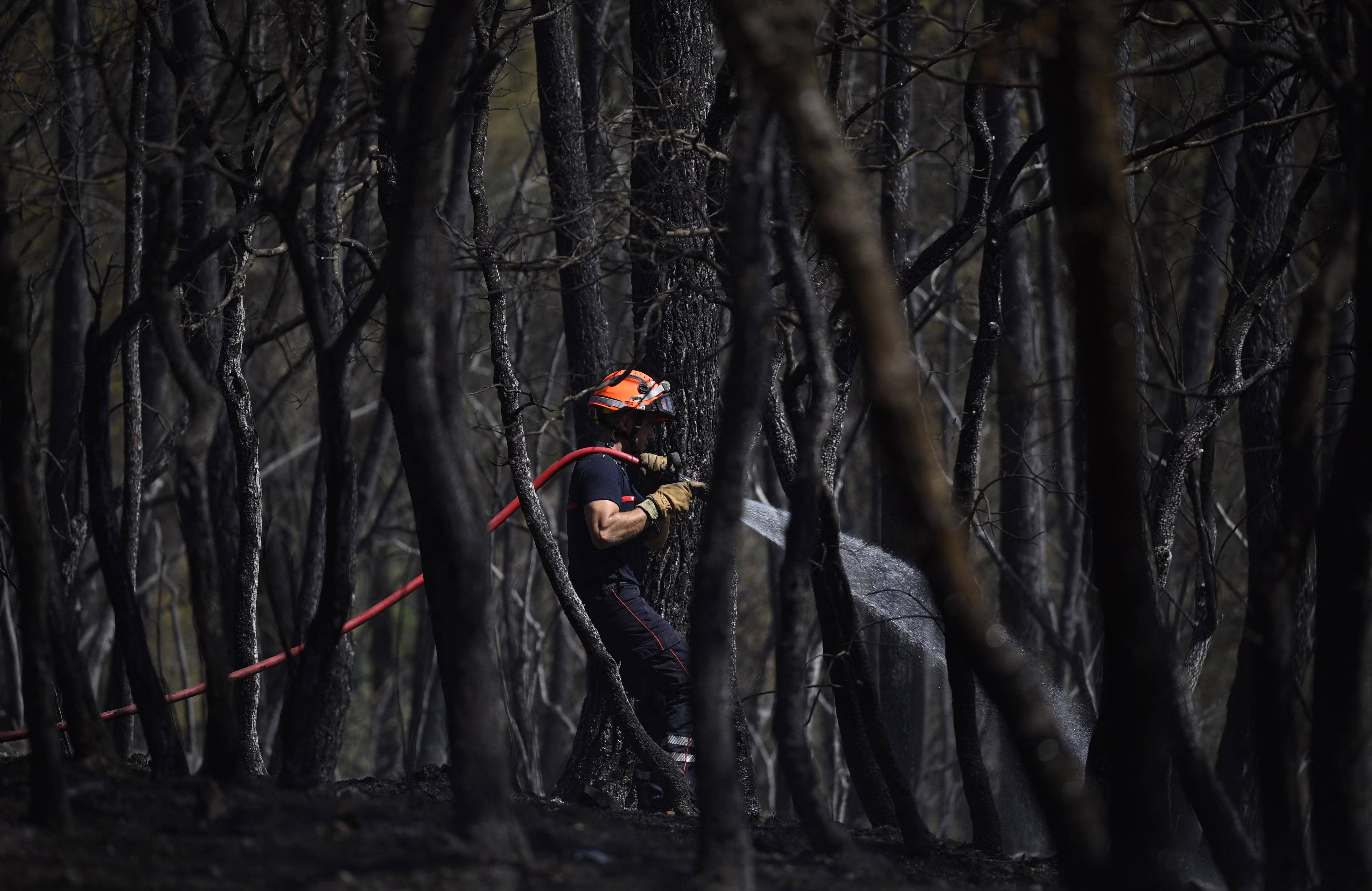 A firefighter sprays water on a scorched field, surrounded by burned trees.