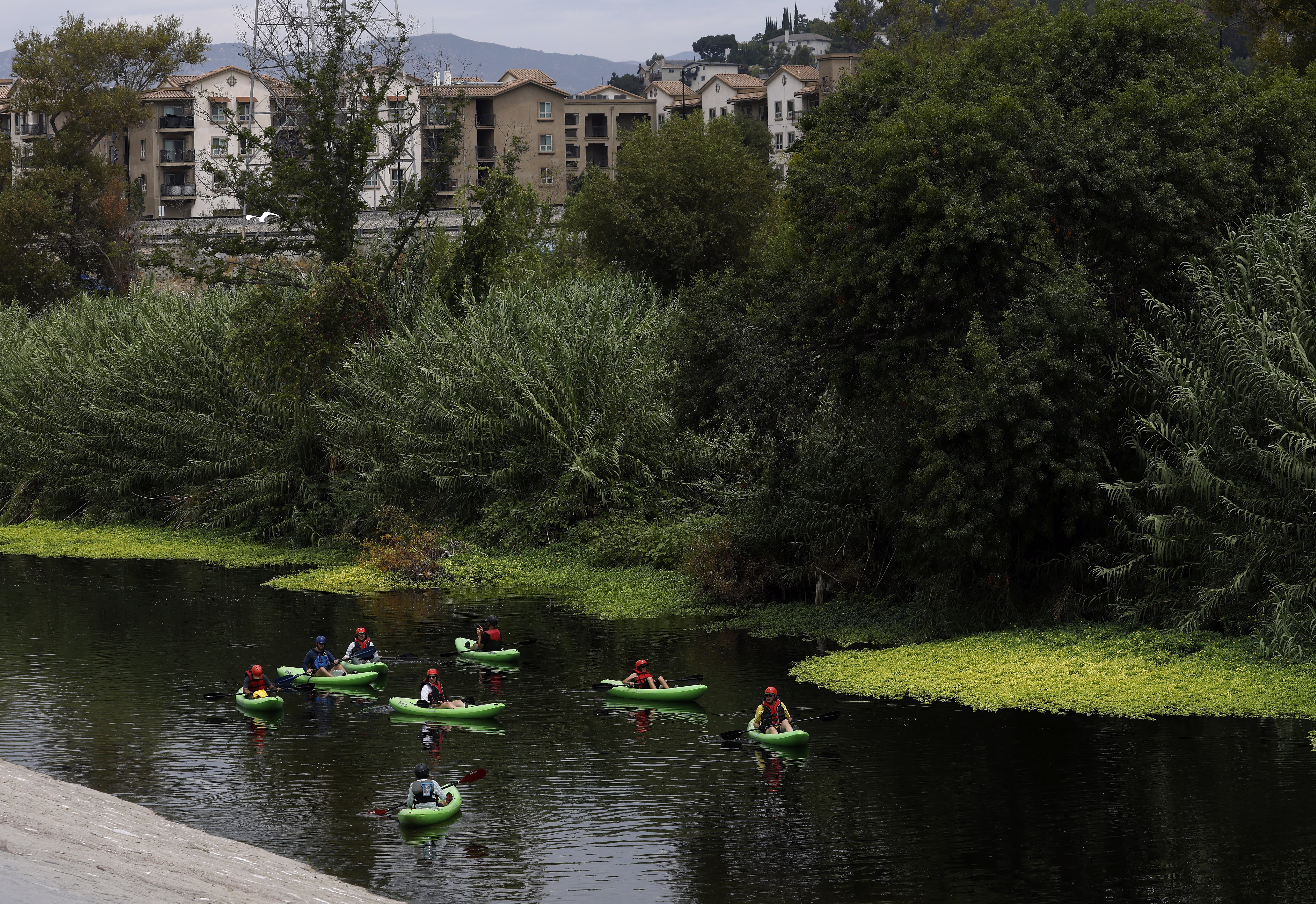 Kayakers paddle past trees and aquatic plants, with residential buildings in the background.