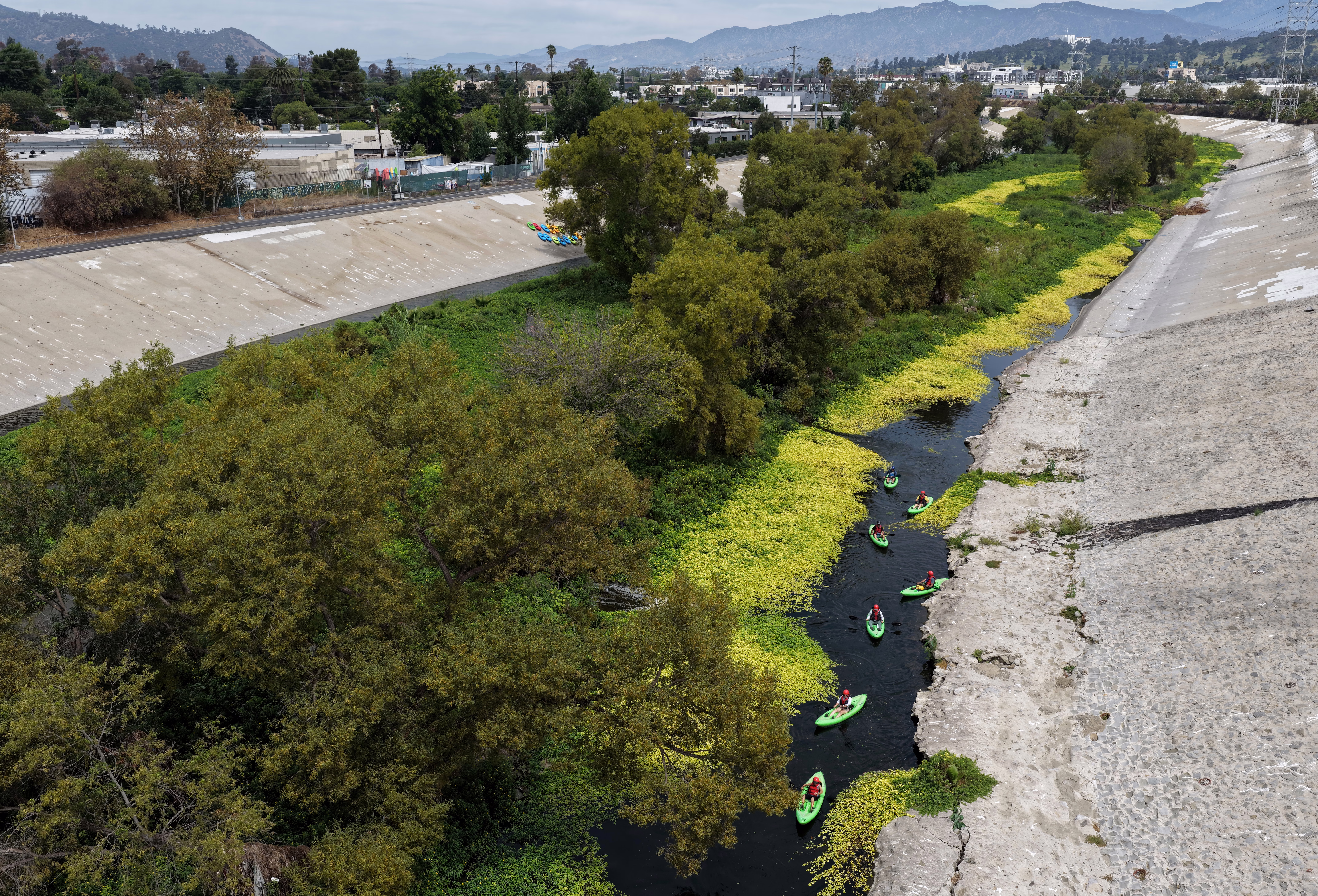 An aerial view of kayakers in a narrow channel of an urban river, passing many trees and bushes, hemmed in by sloping concrete walls.