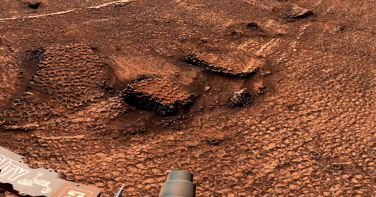 NASA Mars Rover Discovers Field of Mesmerizing Polygons