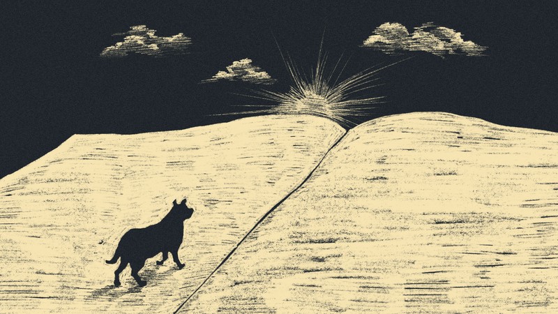 Illustration of a dog walking across a giant book and looking at the sun