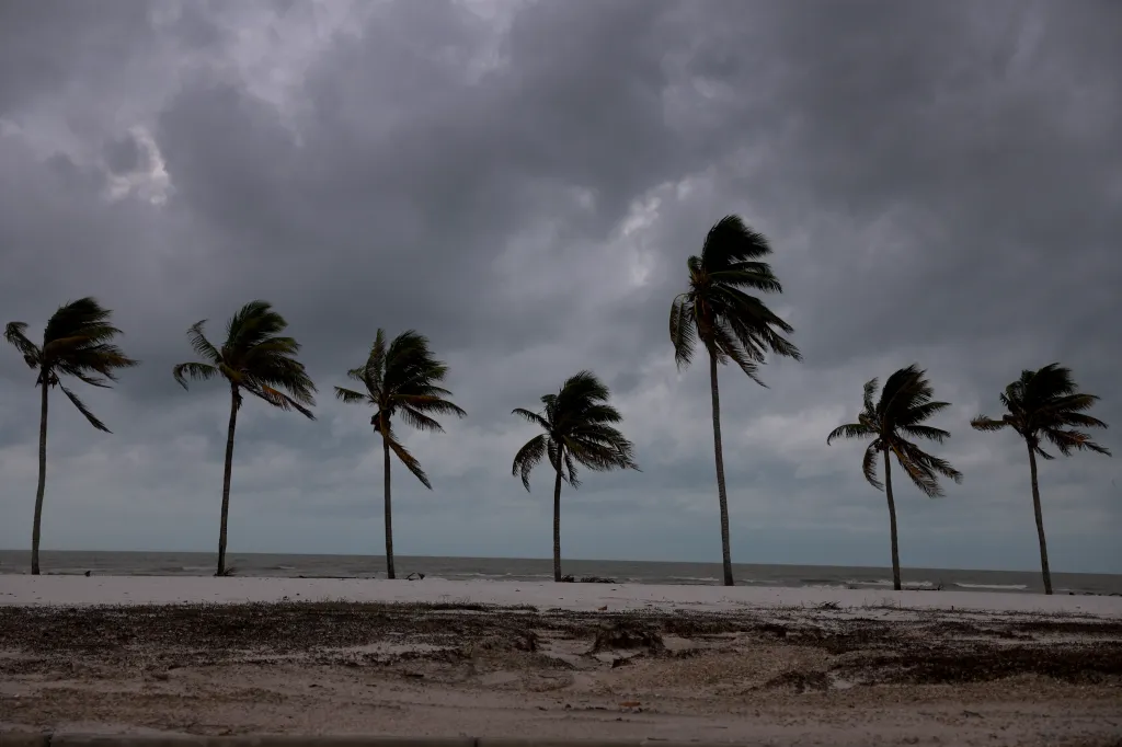 Palm trees line Fort Myers Beach as Hurricane Milton approaches.