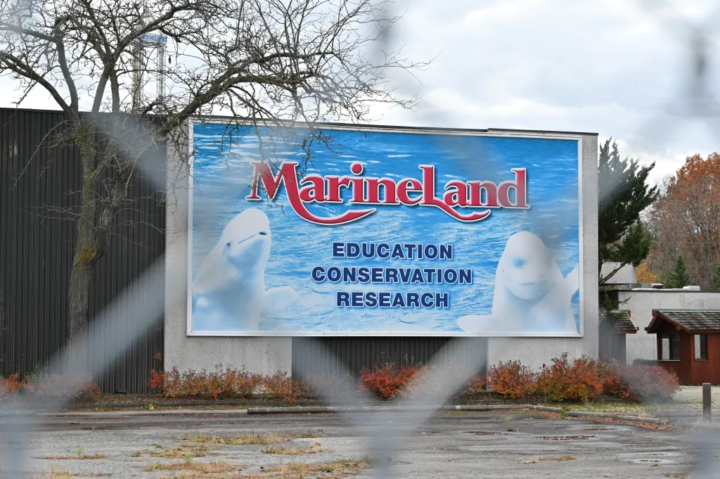 A Marineland poster featuring two belugas and the words "Education, Conservation, Research" behind a fence.