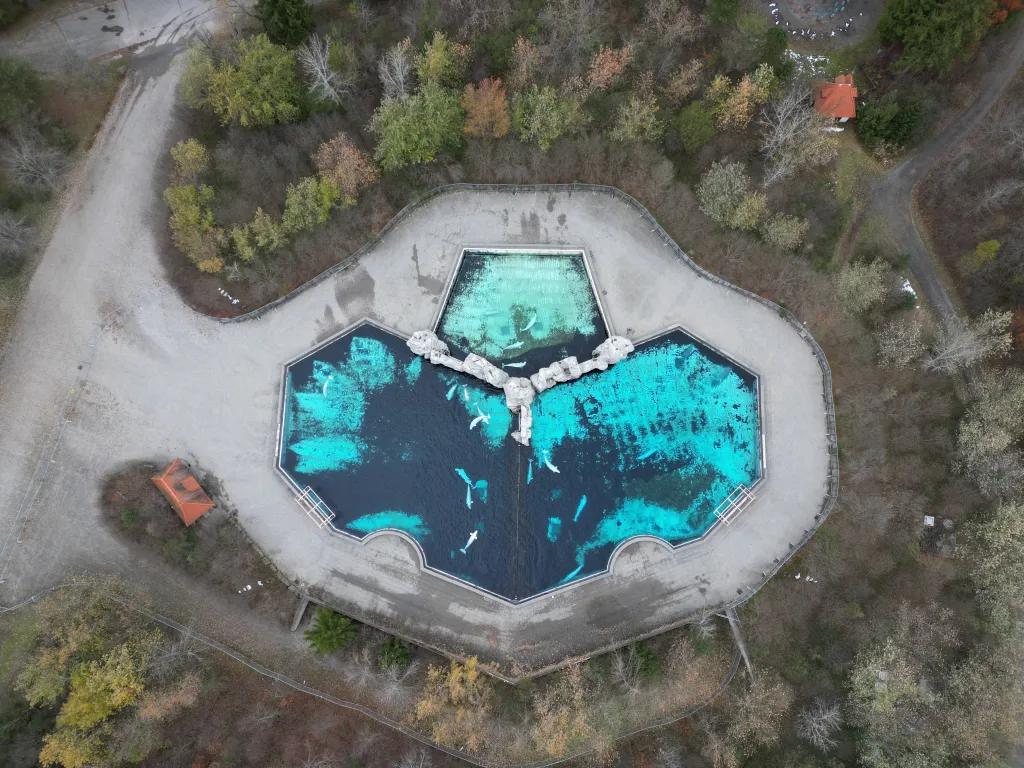 Aerial view of belugas in their enclosure at the now closed Artic Cove exhibit at Marineland.