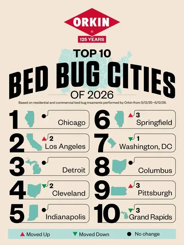 Illustration of Orkin's Top 10 Bed Bug Cities list, with Chicago ranking first.