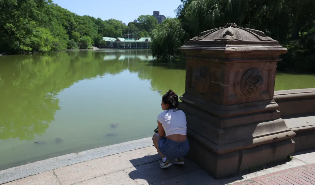 A woman crouches in the shade beside a stone structure, looking out at a green lake.