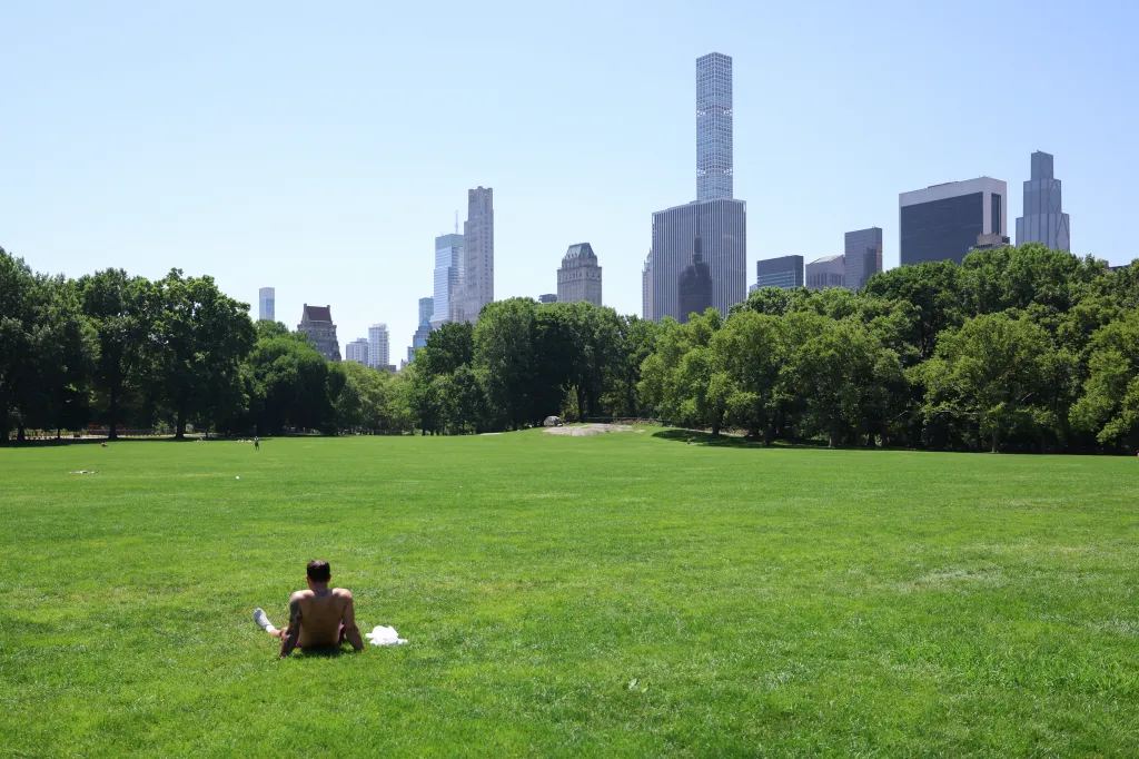 A man sunbathing on the grass in Central Park with city buildings in the background.