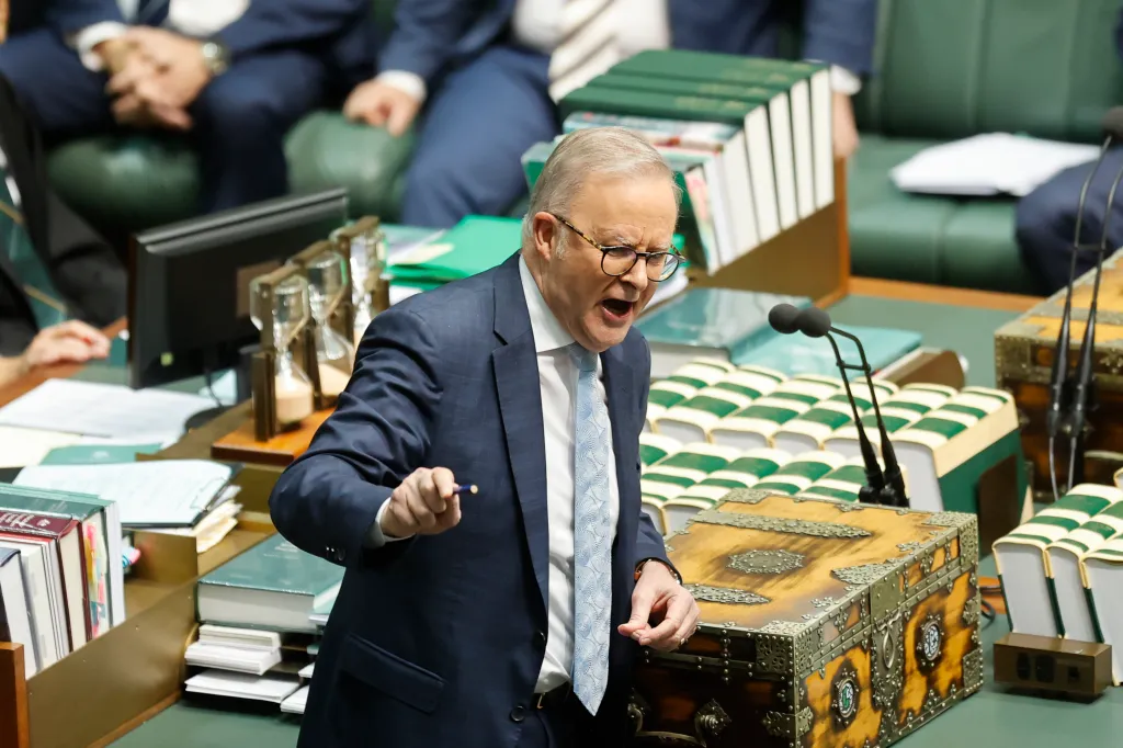Prime Minister Anthony Albanese addresses the House of Representatives.