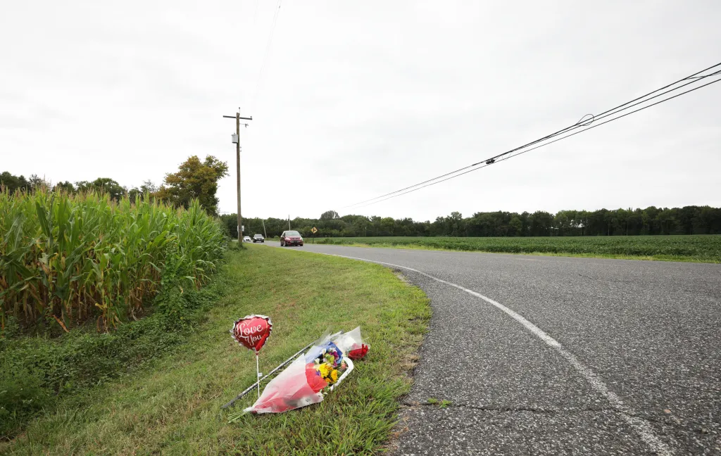 Roadside memorial on Route 551 by Stumpy Lane in NJ, with a heart-shaped "I Love You" balloon and flowers.