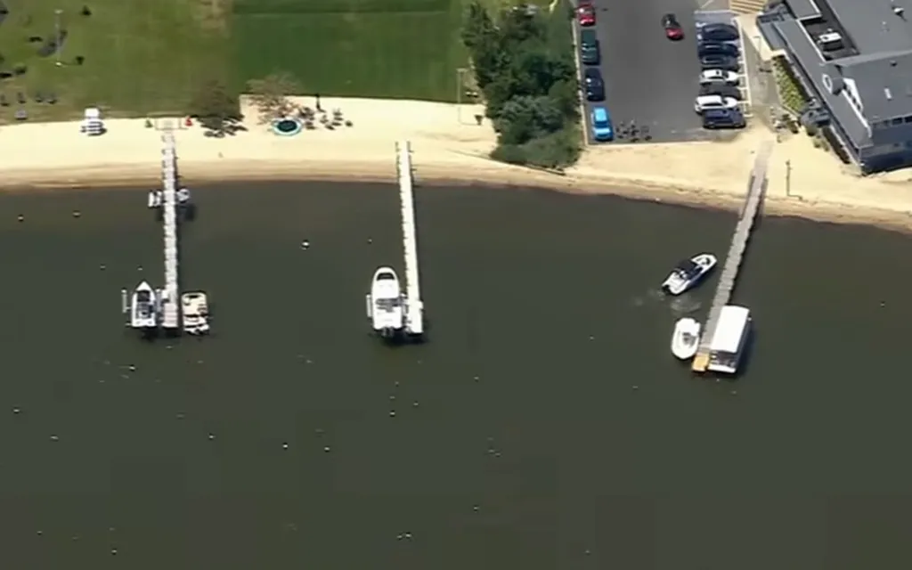 Aerial view of multiple piers with docked boats along a shoreline with sandy beaches, grassy areas, a road with parked cars, and buildings.