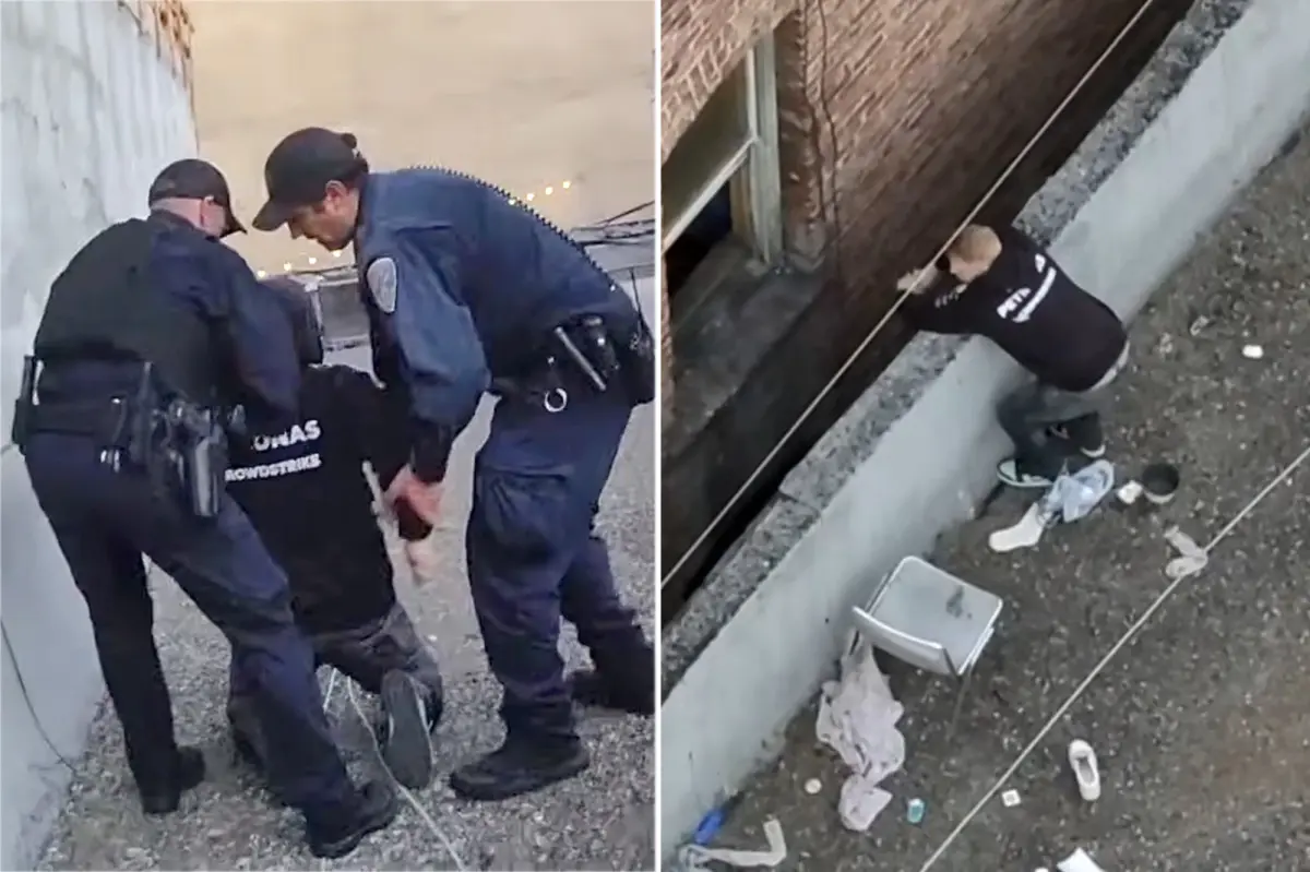 Reno man charged in gruesome kitten killing after San Francisco rooftop arrest