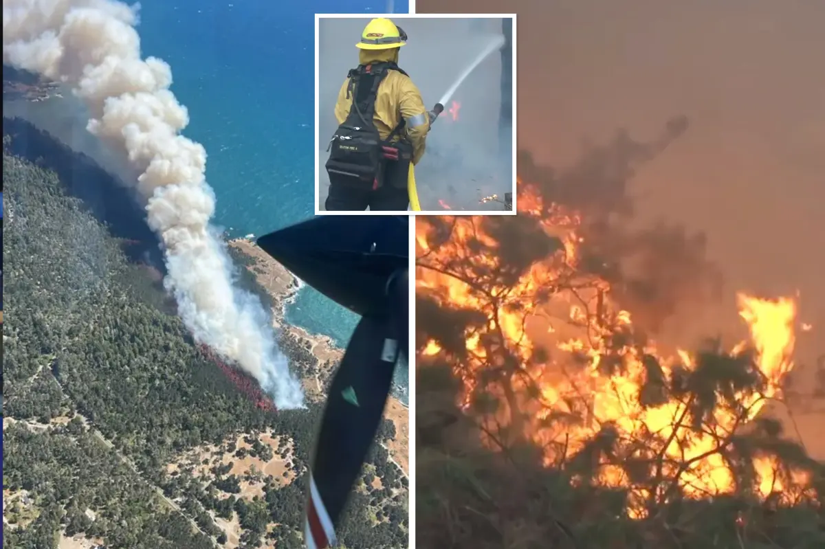 Wine country ‘Woodside Fire’ torches landscape and forces evacuations