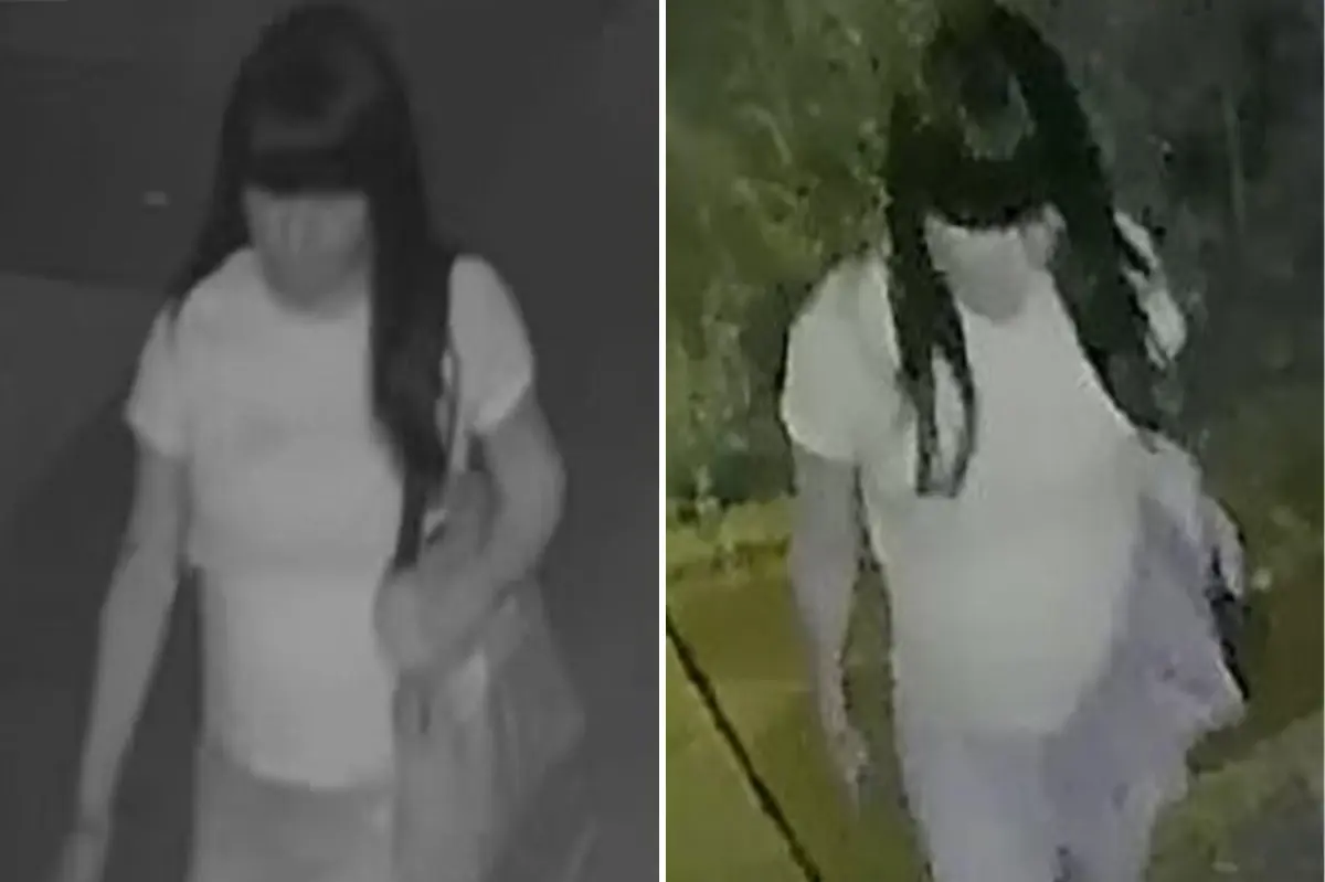 Police searching for creep who raped boy, 15, in back of NYC home
