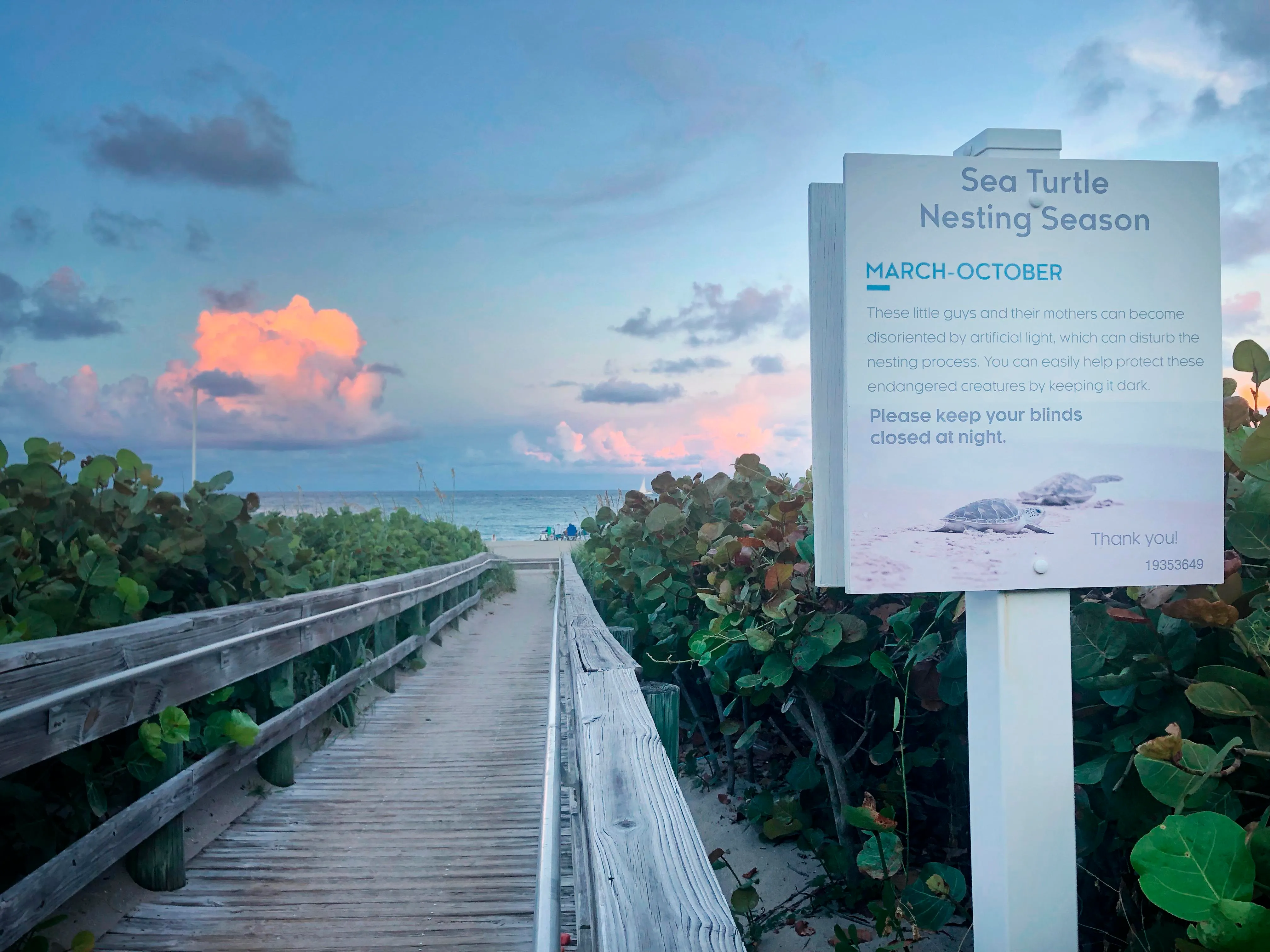 A wooden boardwalk stretches through tropical plants to a white sand beach and ocean beyond, with a sign reading “Sea turtle nesting season.” A wooden boardwalk stretches through tropical plants to a white sand beach and ocean beyond, with a sign reading “Sea turtle nesting season.”