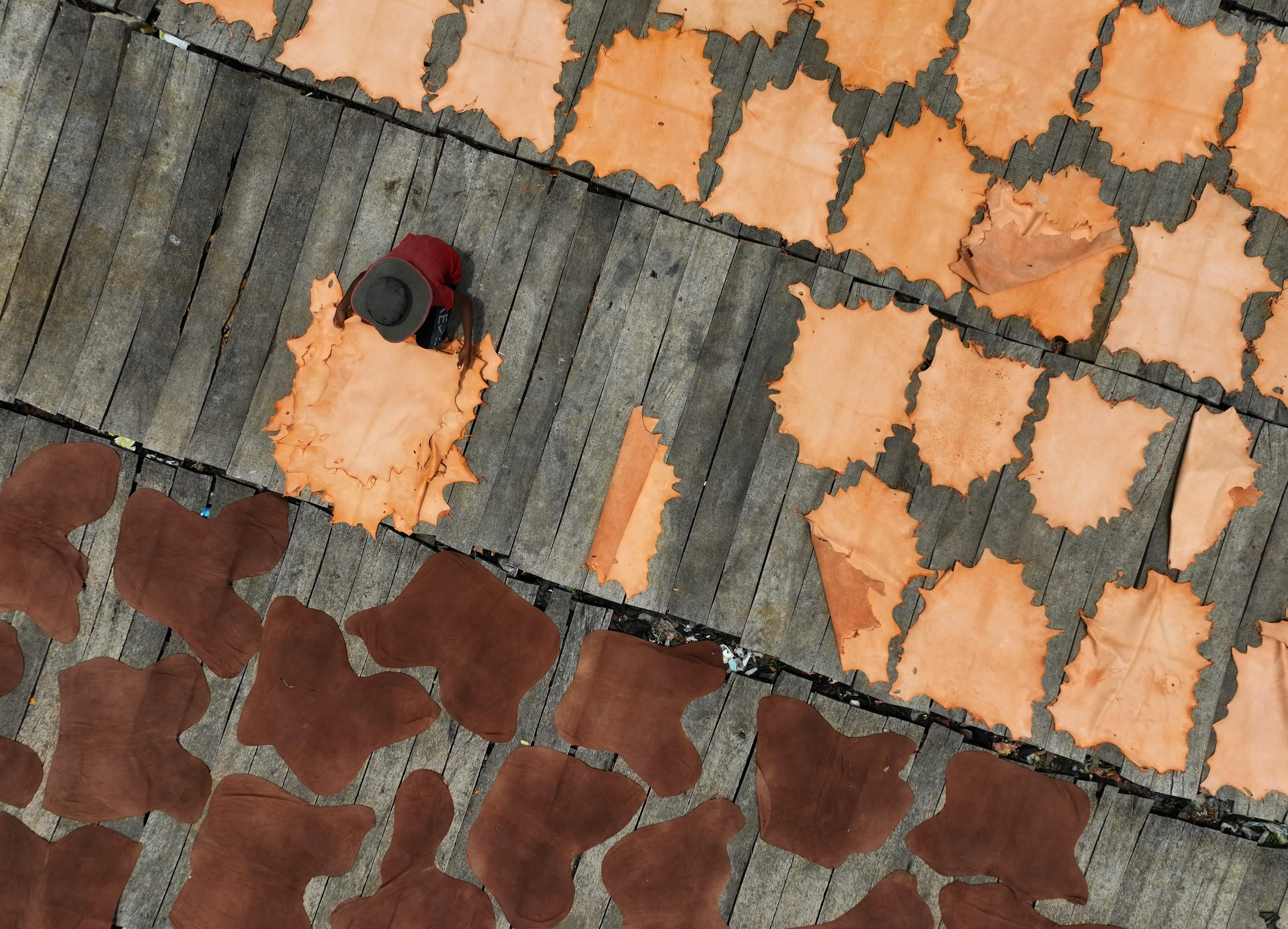 Overhead view of a worker arranging tan animal hides on weathered wooden platforms, with rows of brown hides laid out nearby.