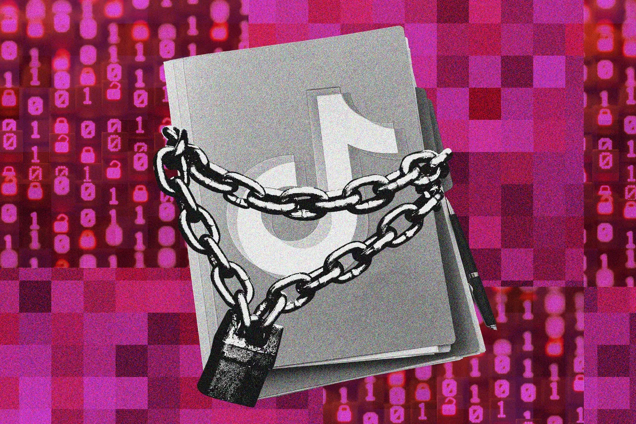 European researchers want to study social media’s harms but can’t get the data