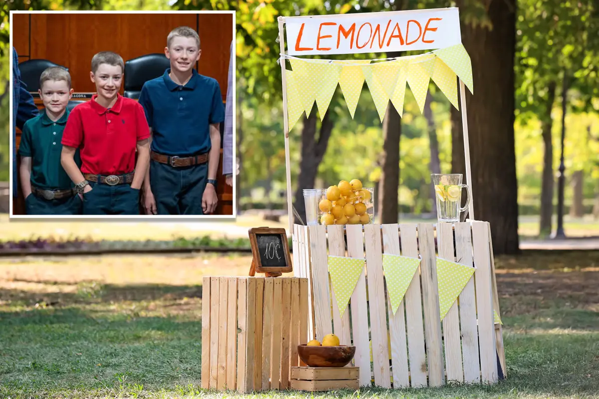 3 young brothers were told they’d have to pay $400 to set up a lemonade stand — they convinced lawmakers to change that