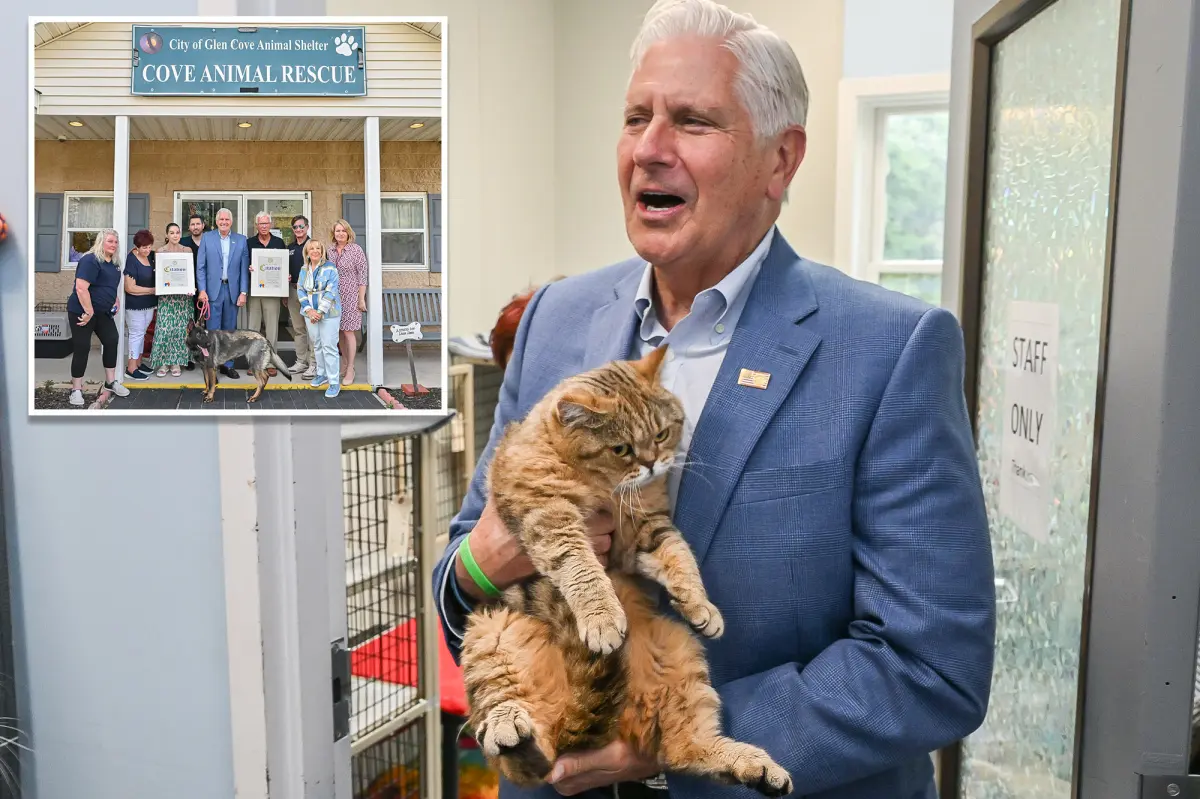 Bruce Blakeman calls for greater animal protections after 155 neglected cats, dogs rescued from LI hoarder’s house of horrors